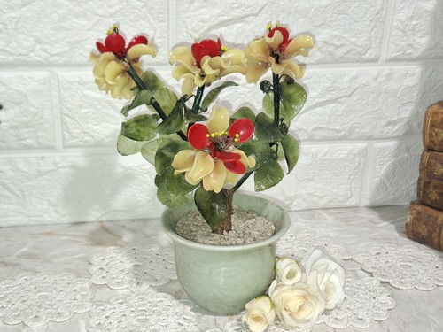 Vintage bonsai cinese - bonsai,