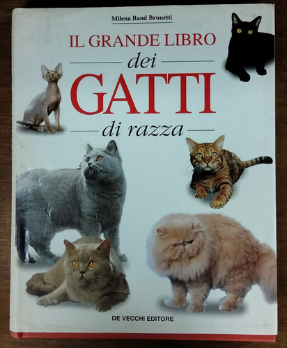Grande libro dei gatti - grande,