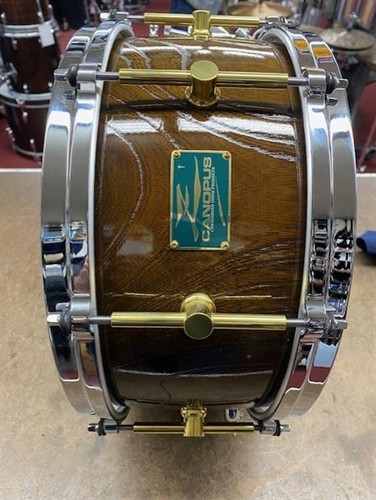 Canopus rullante zelkova - canopus,
