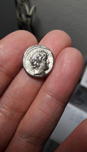 Denario repubblica romana - repubblica,
