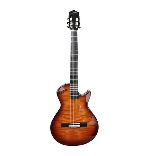 Tiger veneer gloss body - veneer,