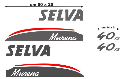 Coppia adesivi per - , motore