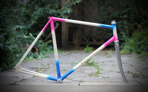 Telaio pista dancelli 55 cm - dancelli,