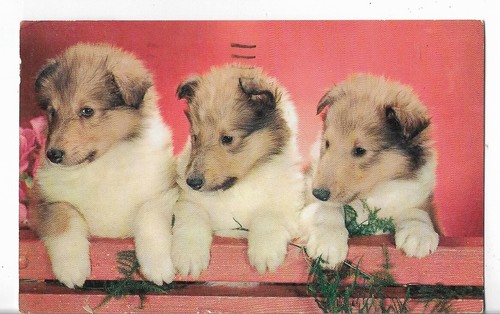 Cartolina epoca tre - -,