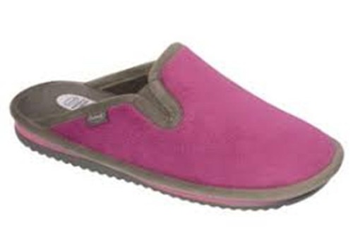 Scholl brienne - e,
