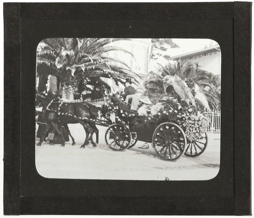 Carnevale nizza francia - carnevale, nizza,