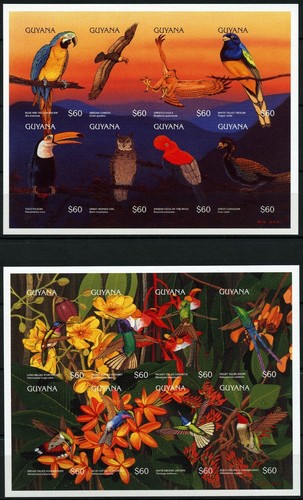 Guyana 1996 uccellini colibrì