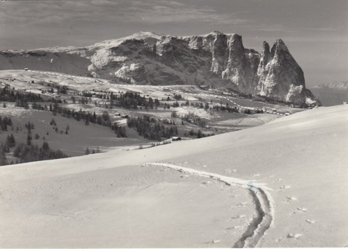 Cartolina alpe di siusi - alpe,