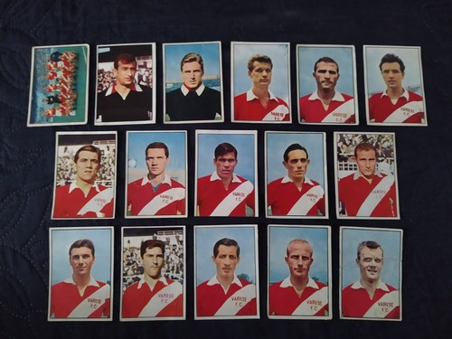 1965 varese calciatori - 1965-66,