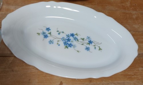 Arcopal myosotis france - arcopal,