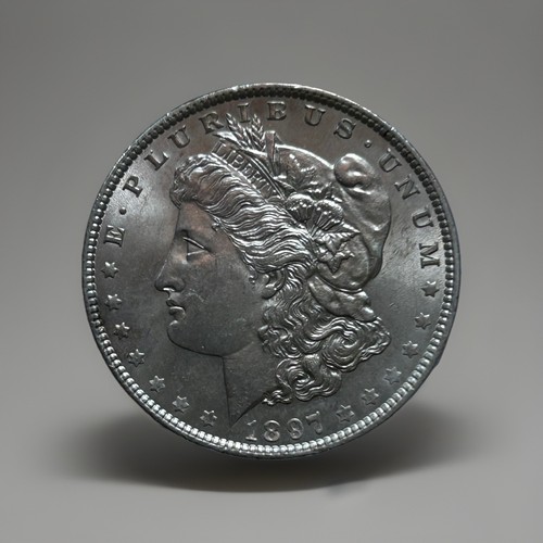 Dollaro morgan 1897 - morgan,