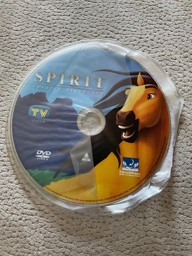 Spirit cavallo selvaggio