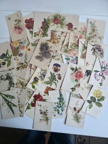 Lotto antiche cartoline - 50,