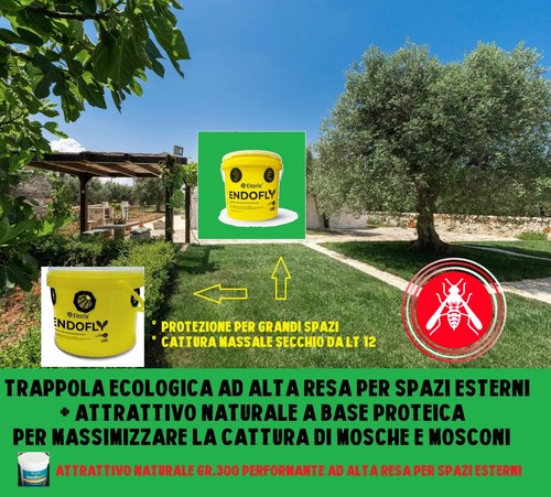 Trappola per mosche - trappola,
