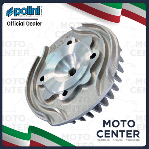 Testa polini modello evolution - testa,