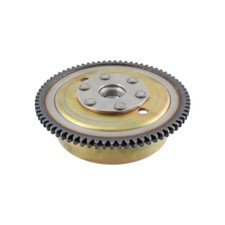 ROTORE CON GHIERA DENTATA PER