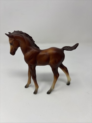 Cavallo puledro arabo classico