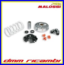 Variatore MALOSSI Multivar
