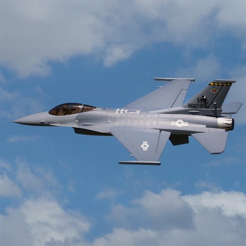 Freewing fighting falcon - fighting,