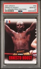 K-1 Grand Prix Fighters epoca