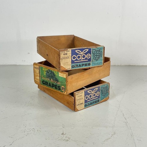 Set casse frutta in - casse,