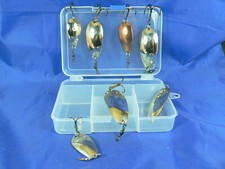 7 Martin Ardito non ondulato