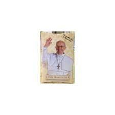 Papa francesco icona quadro