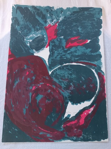 Boero renata serigrafia - boero,