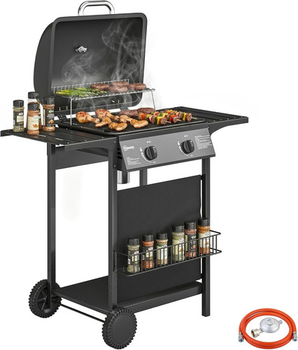 Barbecue gas con 2 - gas,
