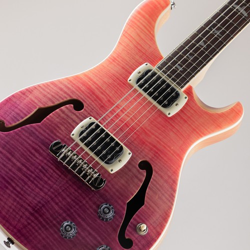 Paul reed smith prs - se, ed