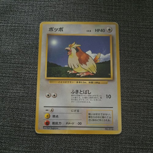 Japanese pidgey 016 - pidgey, no