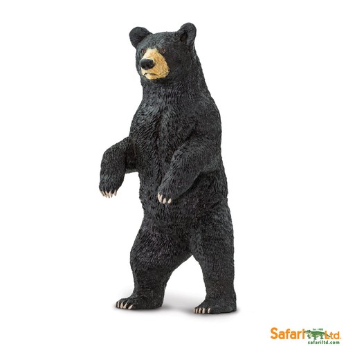 Safari ltd 181629 orso nero - orso, 11