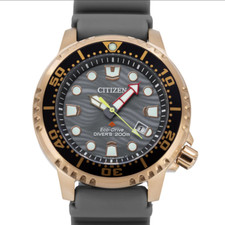 Citizen Eco-Drive Promaster