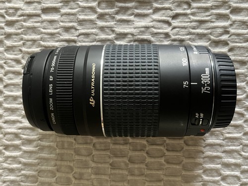 Canon 300mm 5 - canon, f/4-5,6