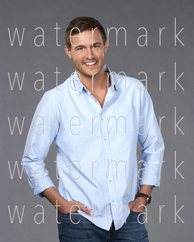 The bachelor peter weber - the,