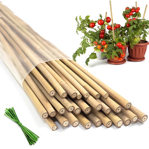 Pali per piante 20pcs paletti - pali,
