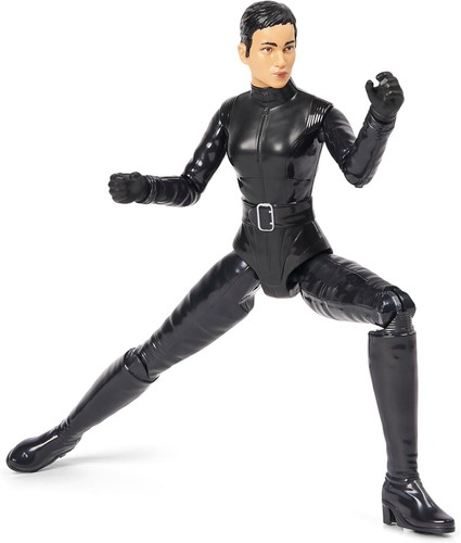 Catwoman the batman action - the,