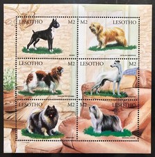 LESOTHO DOG FOGLI FRANCOBOLLI
