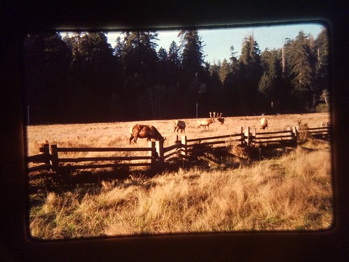 Xag02 35mm slide photo - xag02,