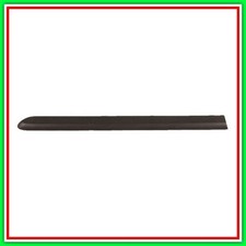 Modanatura Porta Posteriore