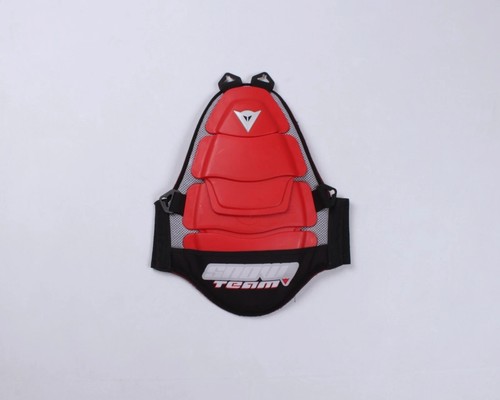 Paraschiena dainese snow - paraschiena, team