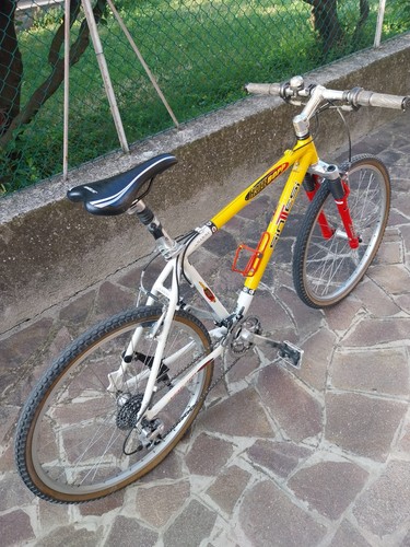 Mountain bike usata marca - mountain,