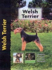 Welsh Terrier, Owen, Hugh
