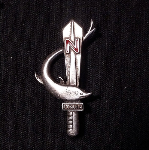 Stemma brevetto nuotatore - stemma,