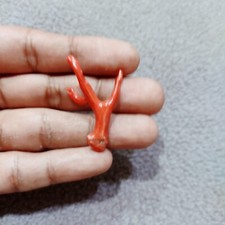 Ramo di corallo rosso corallo