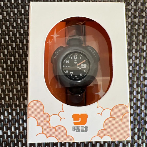 Casio sauna watch - casio,