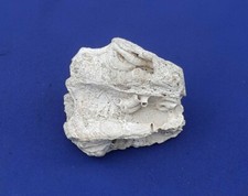 Vasca per pesci vintage