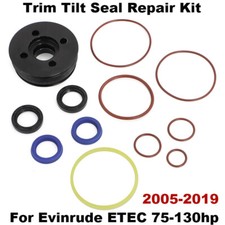 Per Evinrude ETEC Kit Riparazione Guarnizioni Inclinazione Assetto 5008985 con Tappo Finale 75-130cv 2005-19