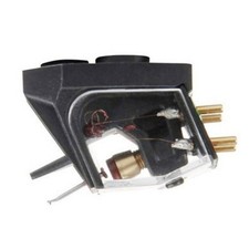 REGA ANIA TESTINA MC ELLITTICA