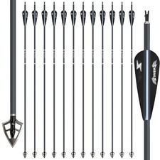 12PCS 30" Frecce in Carbonio